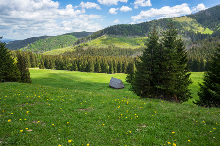Great spring landscape in the Kalatowki Glade. Western Tatras.の写真素材
