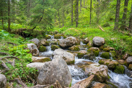 Great spring landscape in the Mala Laka Valley. Western Tatras.の写真素材