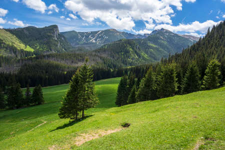 Great spring landscape in the Kalatowki Glade. Western Tatras.の写真素材