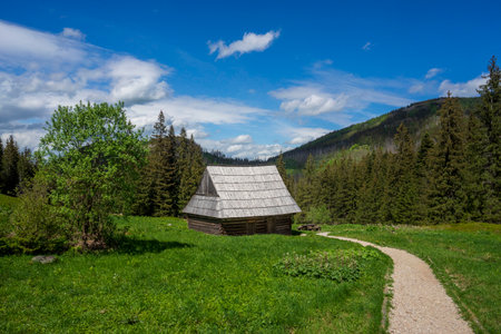 An old cottage on Olczyska Glade. Tatra Mountains.の写真素材