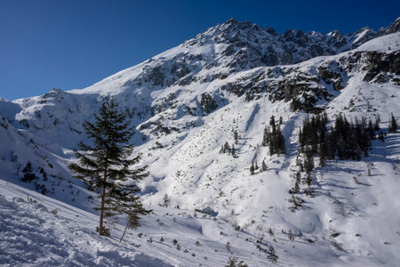 High Tatras in winter. View on Kozi Wierch peak.の写真素材