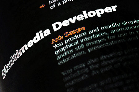 Occupation - Multimedia Developer 