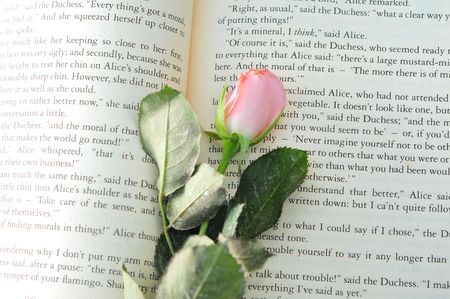 Love Storyの写真素材