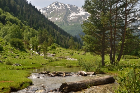 The river in the mountains Caucasus of the summerの写真素材