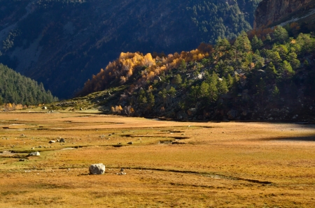 The mountains valley in Caucasus of fallの写真素材