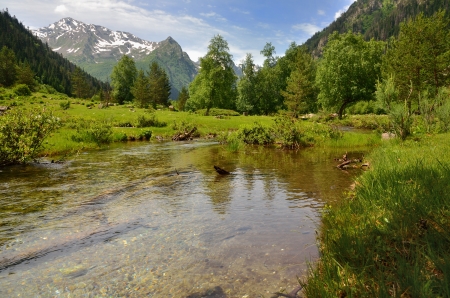 The sunny day in Caucasus mountains of summerの写真素材
