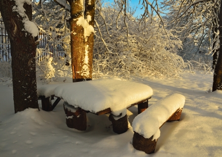 The sunny morning in park of winterの写真素材
