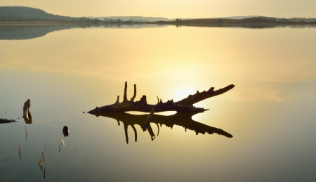 The snlight on the lake of morningの写真素材