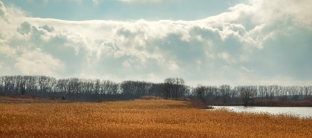 The sunny day in Caucasus in springの写真素材