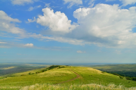 This is sunny day in Caucasus heathの写真素材
