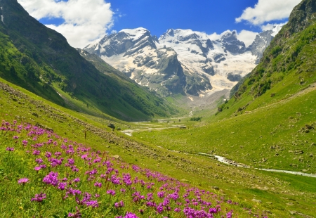 This is sunny day in Caucasus  valleyの写真素材