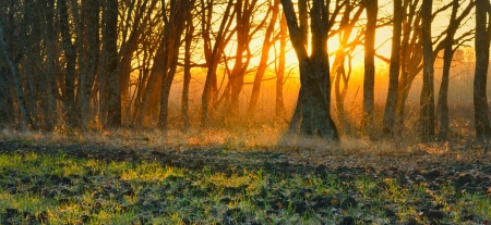 This is sunny morning in Caucasus nature in autumnの写真素材