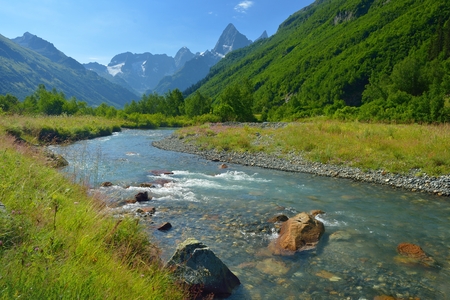 This is transparent river in Caucasus mountains in summerの写真素材