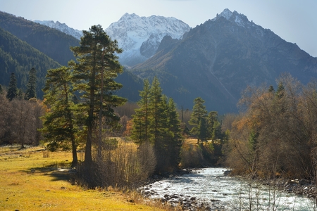 This is sunny cold morning in Caucasus mountains in fallの写真素材