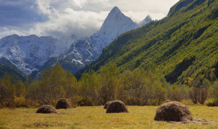 This is colorful valley in Caucasus mountains in autumn