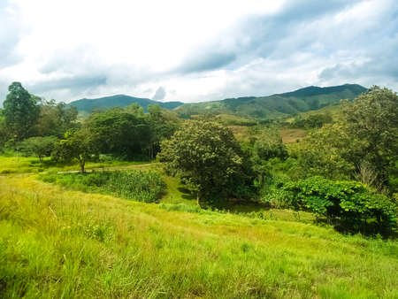 Mountainous landscape, lots of vegetation and a blue sky full of clouds, natural essence.の写真素材