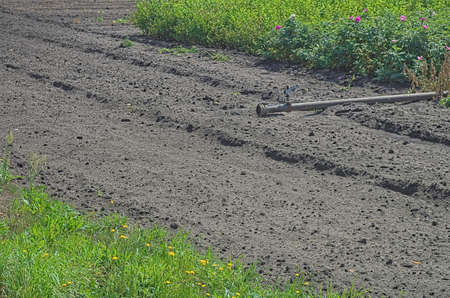 Irrigation system in the fieldの写真素材
