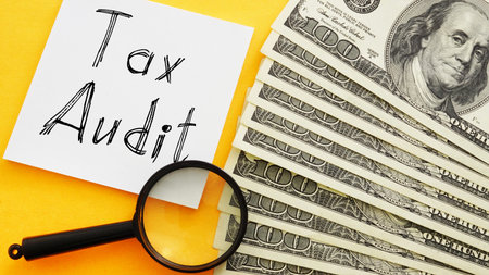 Tax audit is shown using a text