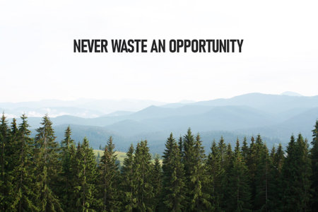 Never Waste An Opportunity is shown using a motivational textの写真素材
