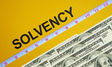 Solvency ratio is shown as business financial concept