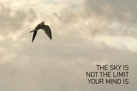 The Sky is Not the Limit, Your Mind Is - motivational quote is shown using the text. Your potential is limitlessの写真素材
