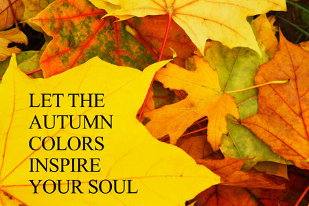 Let the autumn colors inspire your soul - inspirational phrase about autumn is shown using the text...