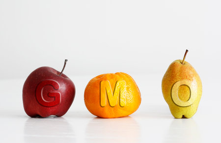 GMO - Genetically modified organism is shown by Minimalist Fruit Composition as food and crop conceptの写真素材