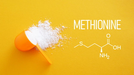 Methionine Essential Amino Acid Supplement Concept for Metabolism Liver Health and Protein Synthesis...