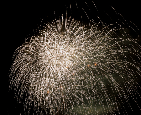 Colorful fireworks in the night skyの写真素材