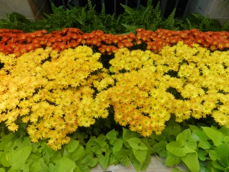indoor gardenの写真素材
