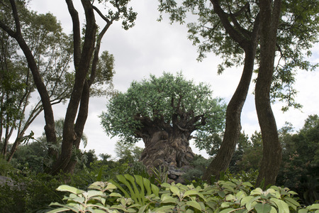ANIMAL KINGDOM-DISNEY WORLD, big tree of life at disney animal kingdom ORLANDO, FLORIDA, - Oct 24th 2015のeditorial素材