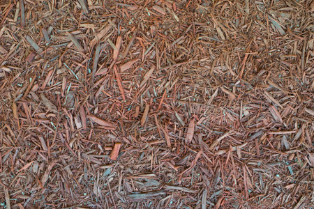Wood mulch texture for garden decoratingの写真素材