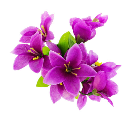 Purple fake flowers is isolated on a white (top view)の写真素材