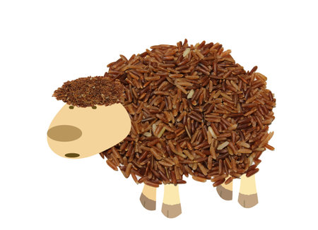 sheep by rice   black sheep 