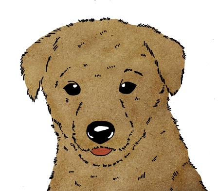 Sketch of dog の写真素材