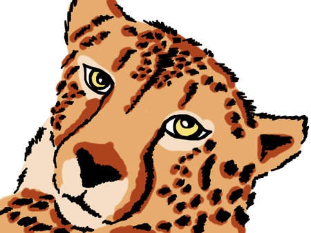 drawing of Leopardの写真素材
