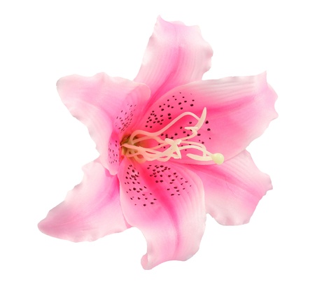 pink fake flowers is isolated on a whiteの写真素材