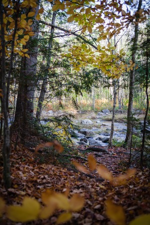 The way to the waterの写真素材