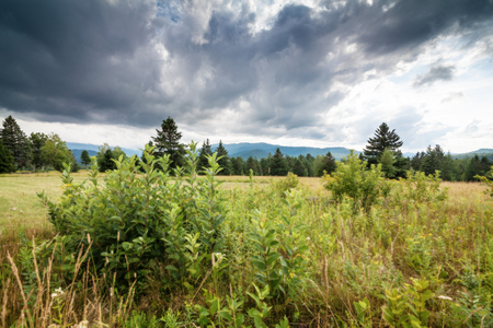 Beautiful view with the background mountainsの写真素材