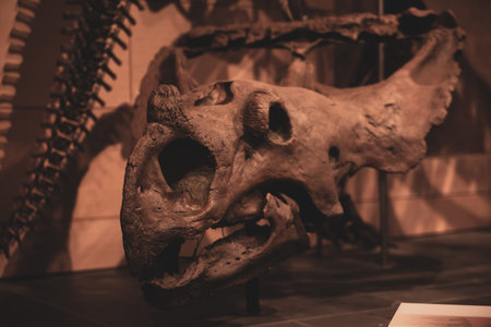 Giant head of a dino