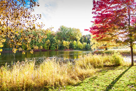 Fall landscape in park of Montreal Quebec