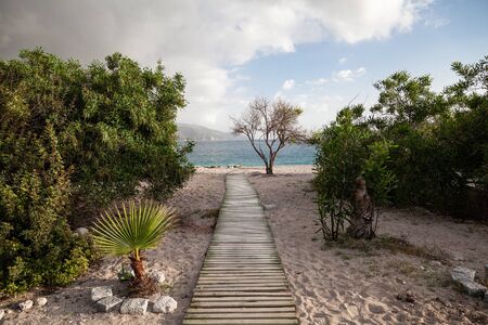 Pathway to the beach and seaの写真素材