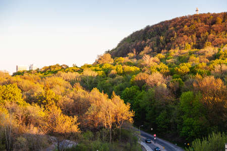 Montreal Quebec Canada Mont-Royal Fallの写真素材