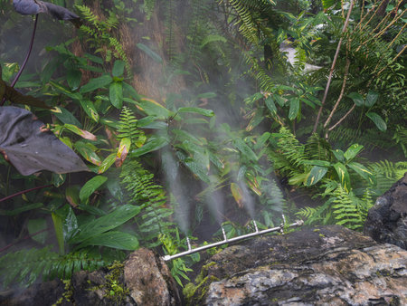 Tropical Rainforest Mist Irrigation System