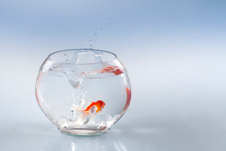 opportunity and conceptの写真素材