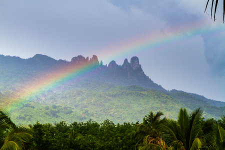 Rainforest with rainbowの写真素材