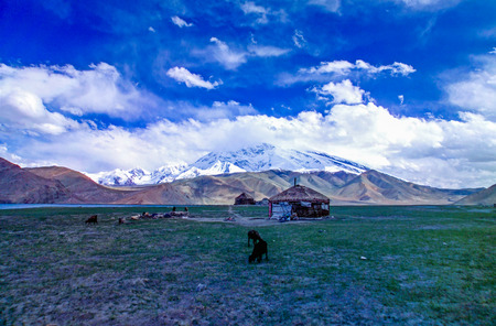 Bayinbuluke Grasslandの写真素材