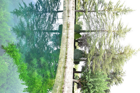 Cella fountain reflecting the trees of the park in the water, Cella Teruelの写真素材