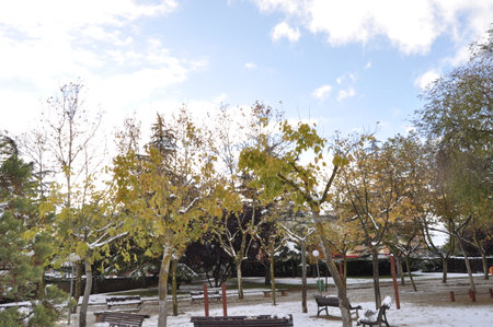 Park in the city in winter. Snow on the ground and trees.の写真素材