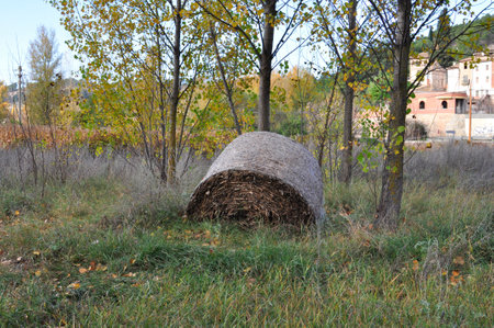Bales of hay on the field in autumn. Rural landscape.の写真素材